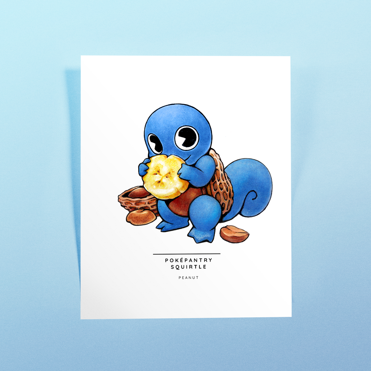 Poképantry Squirtle: Peanut