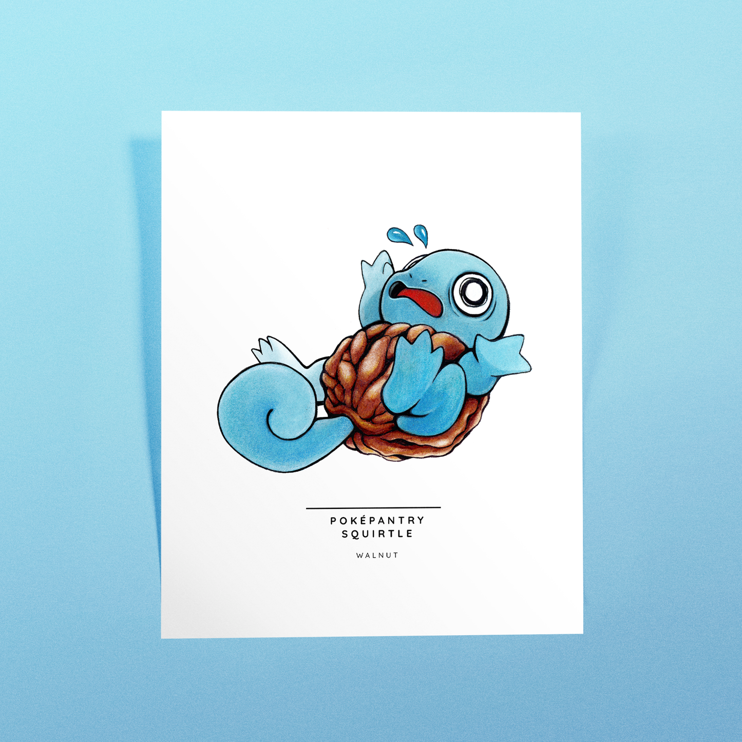 Poképantry Squirtle: Walnut